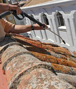 cout demoussage de toiture  paris 